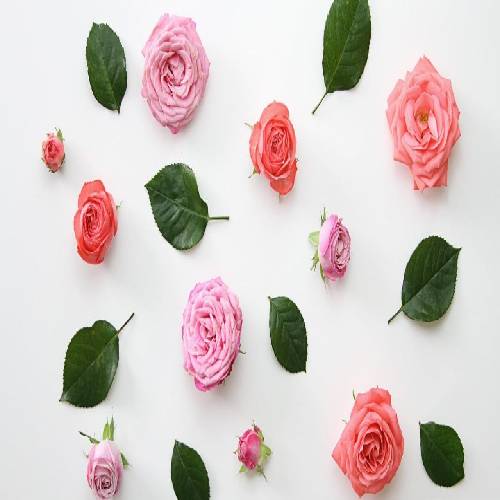 دانلود آهنگ جامعه‌ای‌ ام که آدماش با دیدن بی‌عدالتی شور گرفتن 